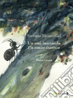 Montanari Stefano