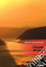 Sciamplicotti Alberto