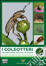 Gatti Enzo; Dal Cortivo Marialuisa; Sommacal Monica