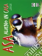 Frada Sergio; Paolillo Antonio