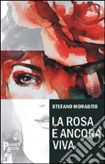 Morabito Stefano