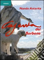 Astarita Nando