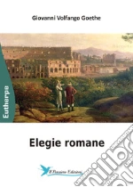 Goethe Johann Wolfgang; Astarita M. (cur.)