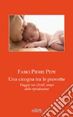 Pierri Pepe Fabio