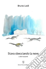 Lodi Bruno