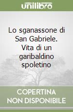 Martinelli Gabriele V. R.