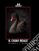 Iacono Fabio S. P.