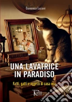 Luciani Domenica