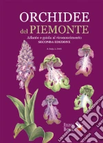 Isaja Amalita; Dotti Lorenzo; Bombonati Daniela