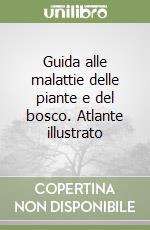 Hartmann Gnter; Nienhaus Franz; Butin Heinz; Pupillo P. (cur.)
