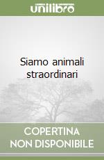 Luino Carmine