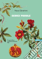 Ebrahimi Nava
