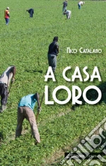 Catalano Nico