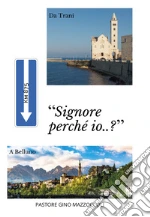 Mazzoccoli Gino