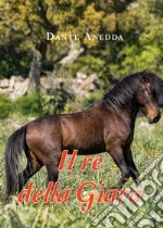 Anedda Dante