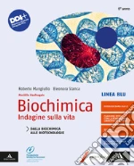 Hoefnagels Marielle; Mangiullo Roberto; Stanca Eleonora