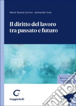 Carinci Maria Teresa; Tursi Armando