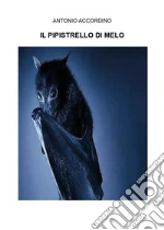 Accordino Antonio