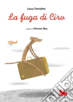 Tortolini Luca