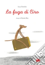 Tortolini Luca