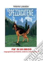 Loscalzo Antonio