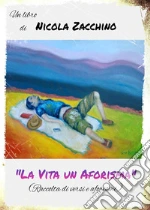 Zacchino Nicola