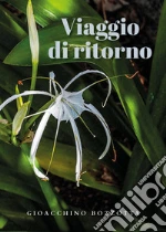 Bozzotta Gioacchino
