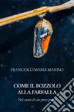 Marino Francesco Maria