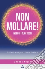 Nolfo Andrea Salvatore