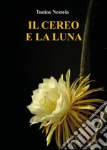 Nestola Tonino