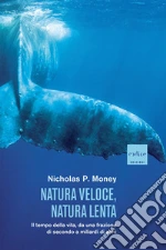 Money Nicholas P.