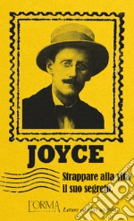Joyce James; Federici Solari M. (cur.); Flabbi L. (cur.)