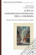 Frosoni Federico; Urbanelli Gianluca