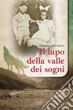 Farina Giacomo Gino