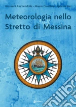 Ammendolia Giovanni; Cavallaro Mauro; Rao Ignazio