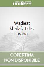 Wasit Mubarak