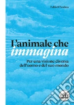 D'Andrea Fabio