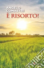 Comastri Angelo