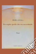 Avola Pippo