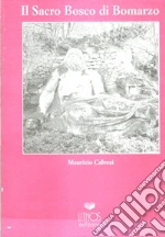 Calvesi Maurizio