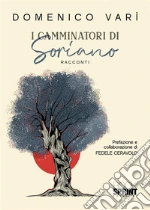 Var Domenico