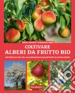 Accorsi Enrico; Beld Francesco