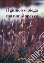 Ricci Elena