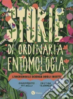 Accinelli Gianumberto