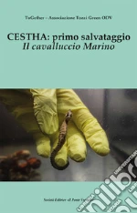 Cavallari Fabio
