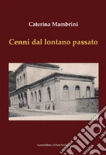Mambrini Caterina