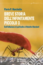Marchetto Flavio P.