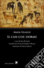 Velasco Maria; Bernardi A. (cur.)