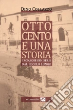 Collazzo Dino