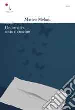 Meloni Matteo